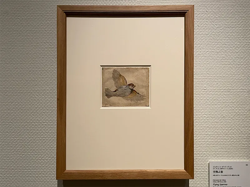 「スウェーデン国立美術館素描コレクション展―ルネサンスからバロックまで(国立西洋美術館)」の展覧会写真
